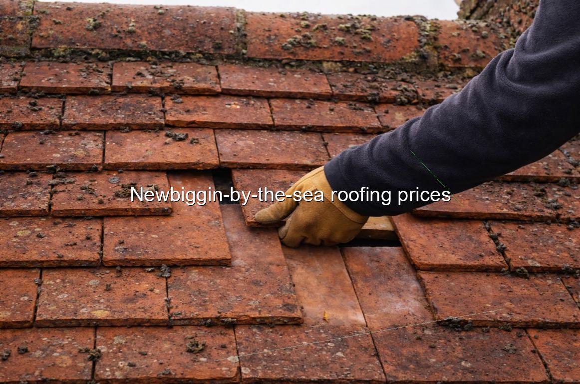 Newbiggin by the sea roofing prices
